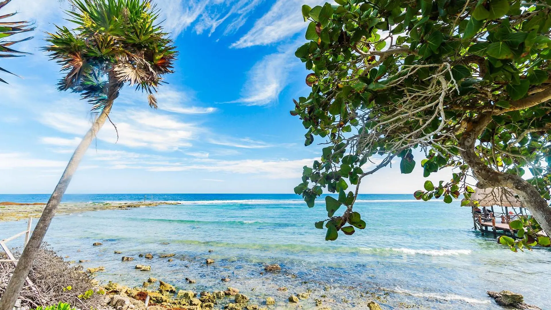 Διαμέρισμα Santamar By Tao Beach Condos With Pool & Walk To Ocean Akumal
