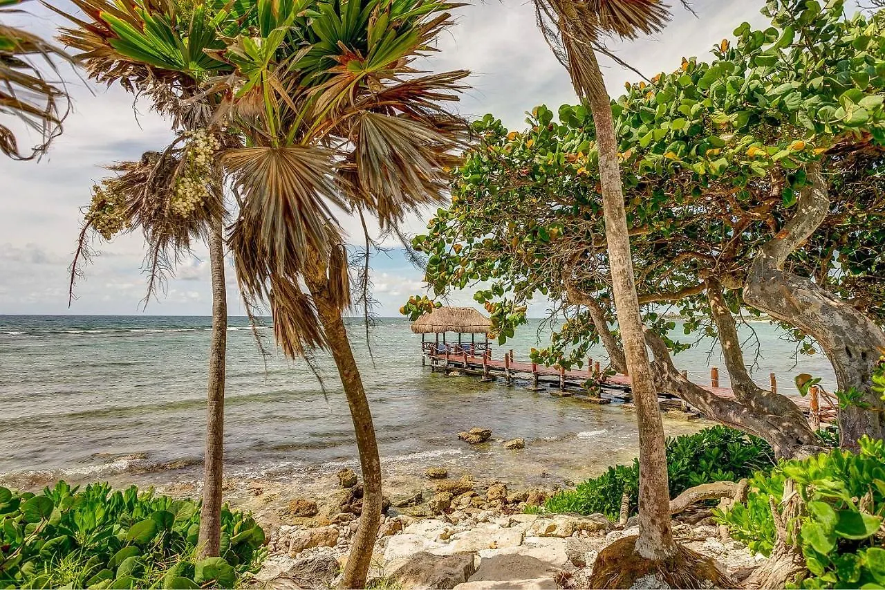 Santamar By Tao Beach Condos With Pool & Walk To Ocean Akumal Apartment